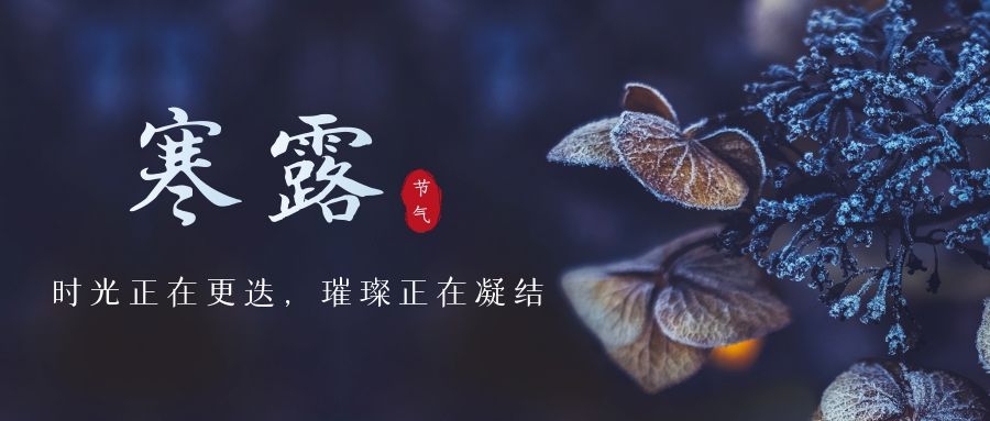 寒露 ▎時光更迭，璀璨正在凝結~