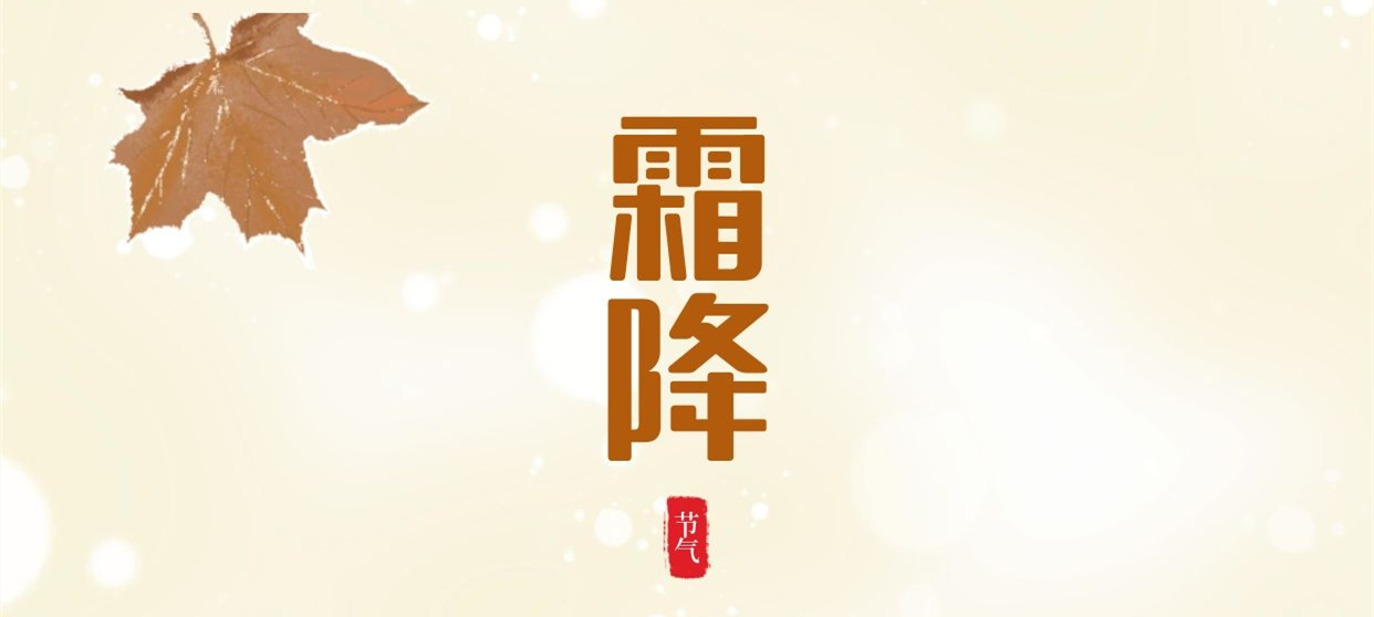 霜降 ▎秋色盡染霜華，歲月不負芳華
