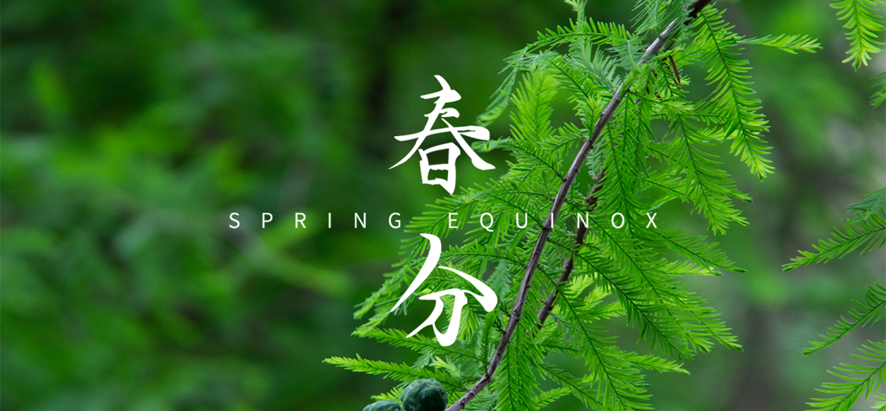 春分 ▎不負(fù)春光，萬物生長