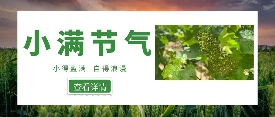 小滿 ▎小得盈滿，自得浪漫~