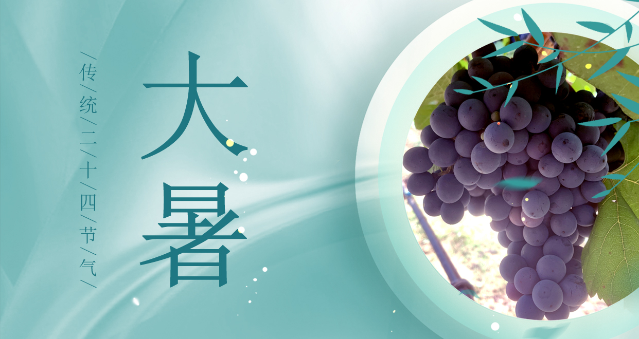 大暑 ▎時(shí)夏三伏盛，葡萄綴滿(mǎn)天