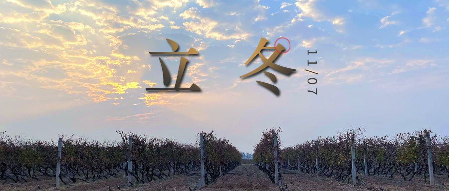 立冬 ▎四時(shí)有序，天地歸藏
